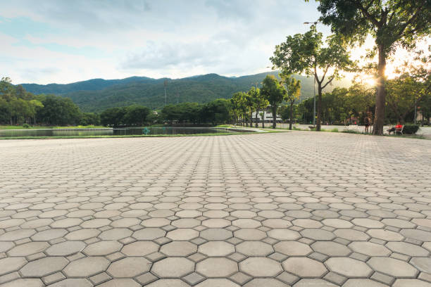 Best Local Driveway Pavers  in Fairmont, NC