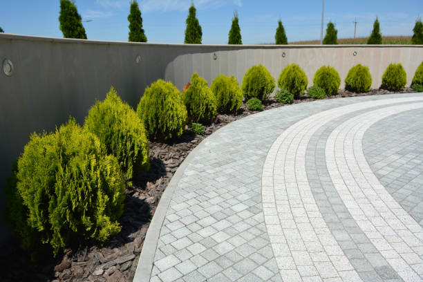 Best Driveway Paving Company  in Fairmont, NC